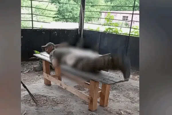 МʼЯКИМ ПРУТНЕМ ПОРЯДОК НЕ НАВЕДЕШ»: як російський командир батогом і ямою виховує підлеглих