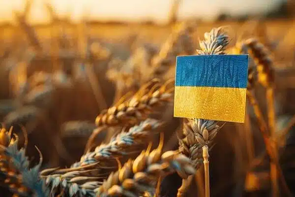 Економічні прогнози на осінь 2025: стабілізація чи нові ризики?