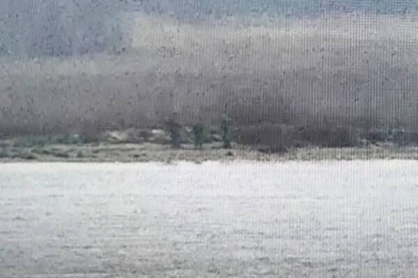 Російські прикордонники незаконно перетнули кордон Естонії