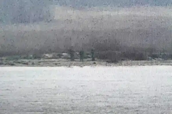 Російські прикордонники незаконно перетнули кордон Естонії