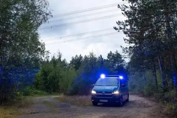 Диверсійний шквал у Німеччині: у Саксонії на лініях електропередач виявили 21 вибуховий пристрій
